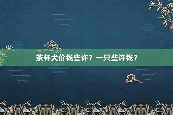 茶杯犬价钱些许？一只些许钱？
