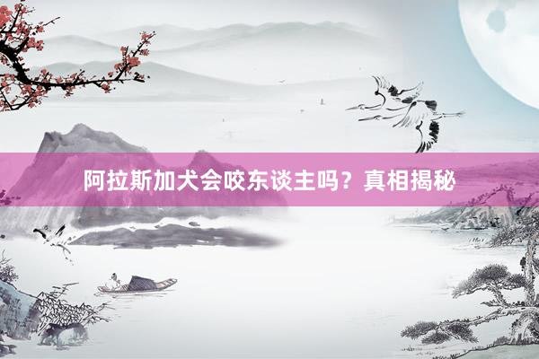 阿拉斯加犬会咬东谈主吗？真相揭秘
