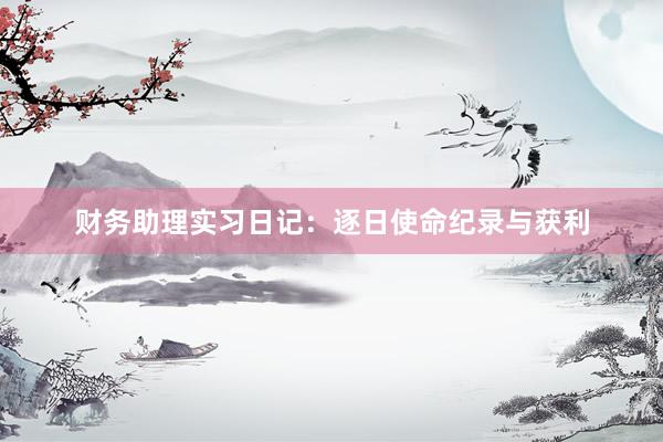财务助理实习日记：逐日使命纪录与获利